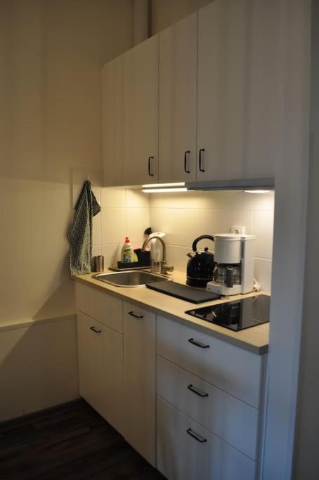 Apartment In Praha 3 Kültér fotó